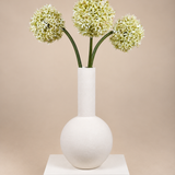 Allium Reuzenbloem