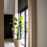 Strelitzia Kunstplant 180 cm