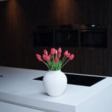Tulpen Fushia