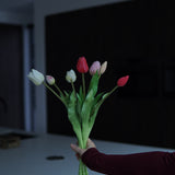Tulpen mix Fushia/ Wit