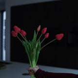 Tulpen Fushia