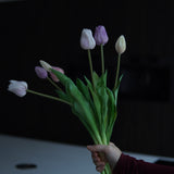 Tulpen mix Lila